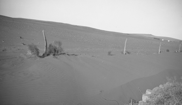 Figure 11.19 Aftermath of dust storm, 1930s, Dickinson Research Extension Center. (NDSU photo, Chris Augustine)